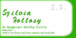 szilvia hollosy business card